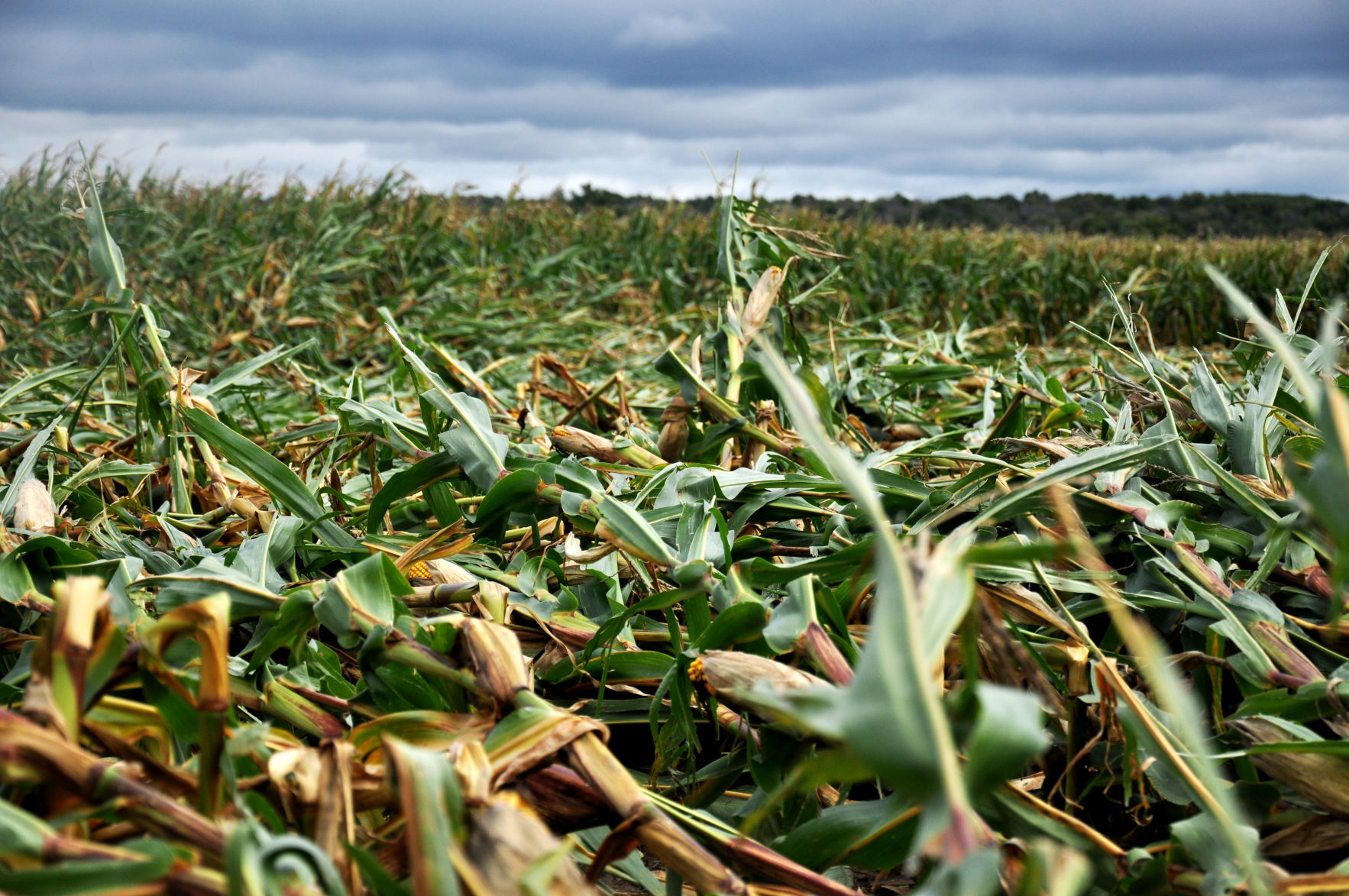 Tornado Damage
